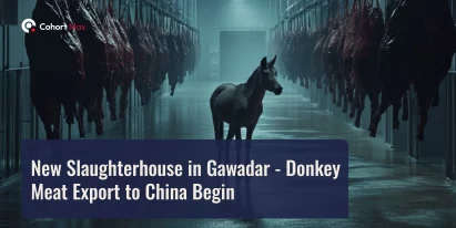 New Slaughterhouse in Gwadar – Donkey Export to China Begin